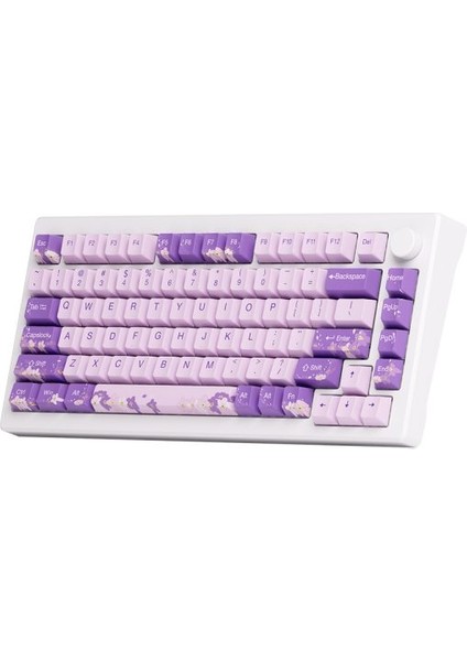 MOD 007 HE PC Purple Melody Hall Effect Manyetik Switch RGB Hotswap Mekanik Gaming Klavye