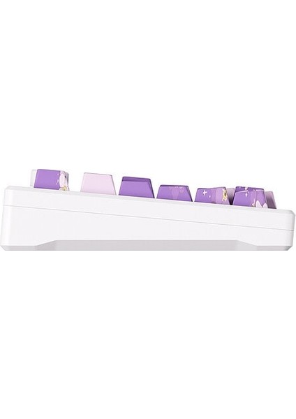 MOD 007 HE PC Purple Melody Hall Effect Manyetik Switch RGB Hotswap Mekanik Gaming Klavye