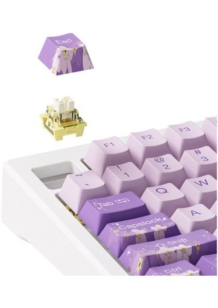 MOD 007 HE PC Purple Melody Hall Effect Manyetik Switch RGB Hotswap Mekanik Gaming Klavye