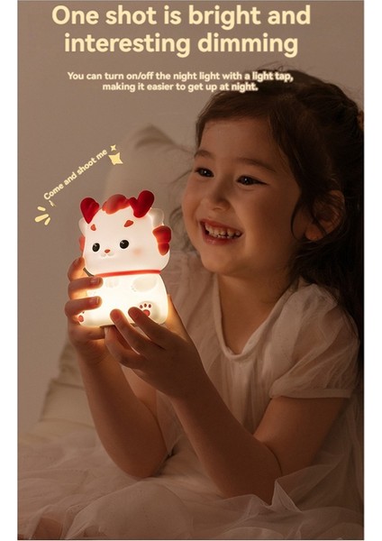 Xiaolong Gece Lambası USB Ortam Başucu Lambası Uyku (Yurt Dışından)