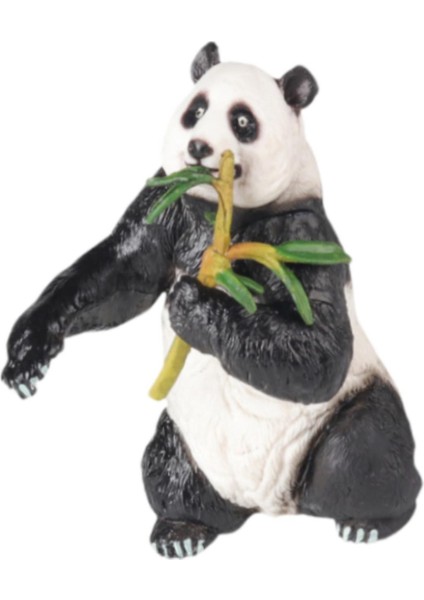 Heykeli Dekorasyon Tahsil El I Hediye Panda Heykeli (Yurt Dışından) fiyatları