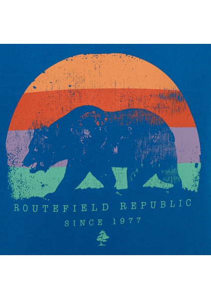 Çocuk Sweatshirt Homer Mavi fiyatları