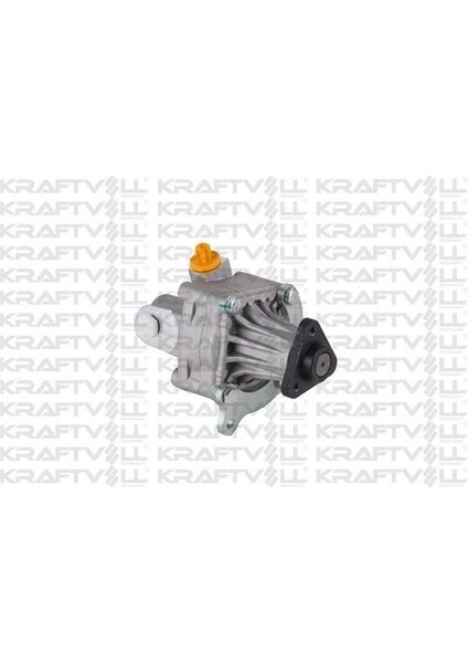 01060096 Direksiyon Pompası Bmw E36 M40 M41 32411137835