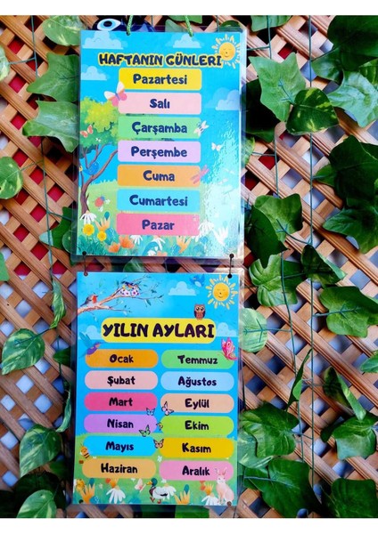 Mevsimler Günler Aylar Afişi Okul ve Sınıflar Için Pvc Kaplı 5 Parça Afiş Set