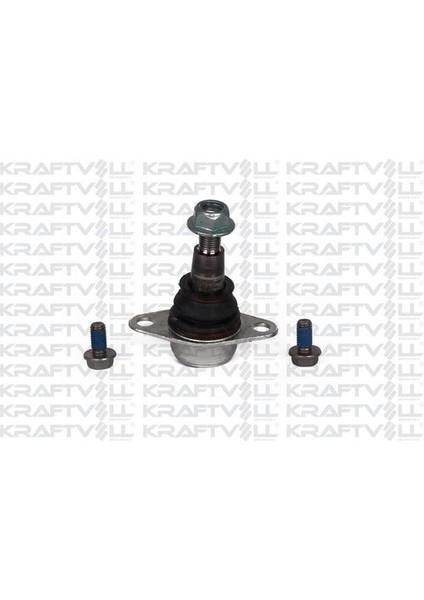 13010307 Rotil Bmw X3 F25 09 10- 31106787665
