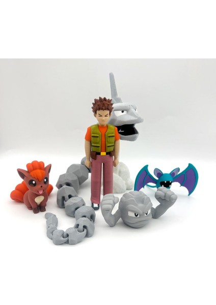 #0000 Brock Pokemon Figürü