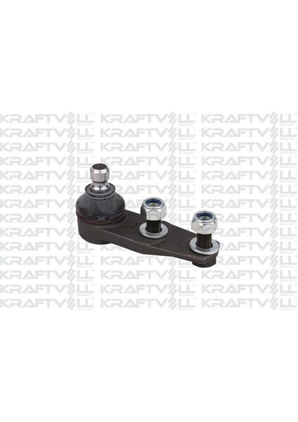 13010082 Rotil Renault 9 Renault 11 Renault 19 Renault 21 Clio Kangoo Megane Twingo Express Solenza 12MM 7702127160
