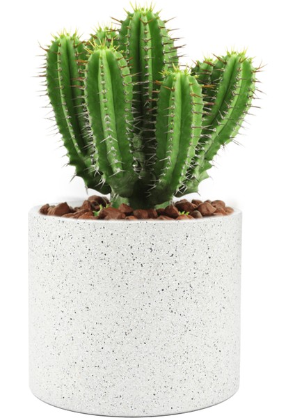 Modern ve Şık Terrazzo Desenli Saksı - 18,5X15,5 cm indirimleri