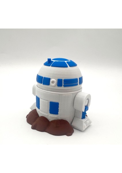#0050 R2-D2 Diglett Pokemon Figürü (Star Wars) modelleri