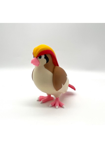 #0016 Pidgey Pokemon Gelişim Seti