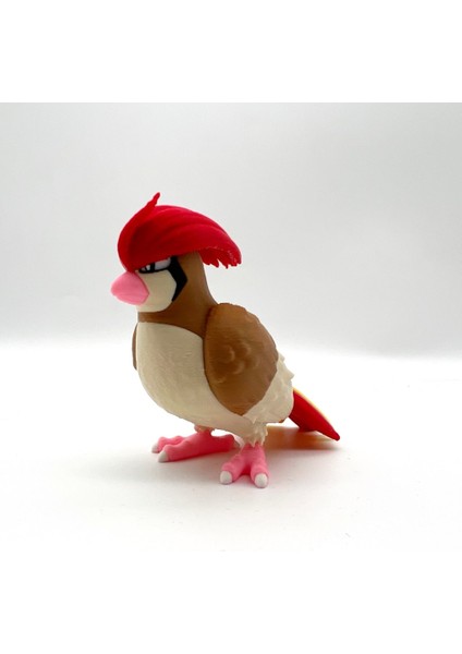 #0016 Pidgey Pokemon Gelişim Seti