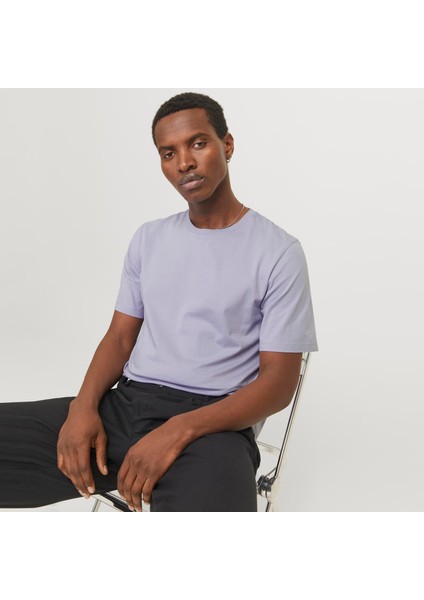 JJEORGANIC BASIC TEE SS Lila Erkek Kısa Kol T-Shirt fırsatları