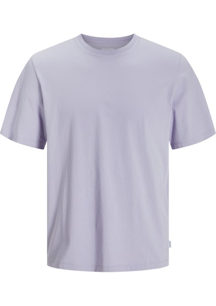 JJEORGANIC BASIC TEE SS Lila Erkek Kısa Kol T-Shirt indirimleri