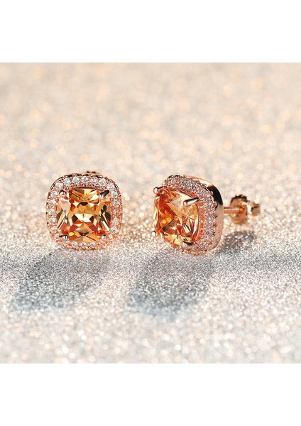 Kırmızı Stil 925 Ayar Gümüş 7mm Prenses Kare Kesim Safir Topaz Ametist Zümrüt Puset Küpe Doğum Taşı Kristal Pençe Küpe Vida Geri Küpe (Yurt Dışından)