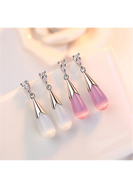 Pembe Tarzı Fashiolver Gömme Zirkon Gözyaşı Şekilli Opal Küpe Bayanlar Takı (Yurt Dışından) fiyatları