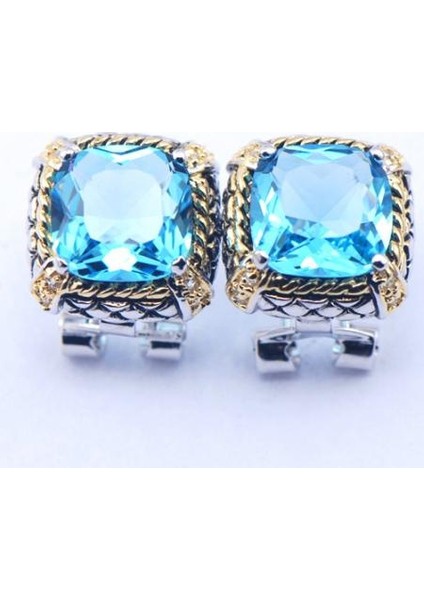 Yeni Akik Gümüş Taşlı Küpe TE394 (Yurt Dışından) fiyatları