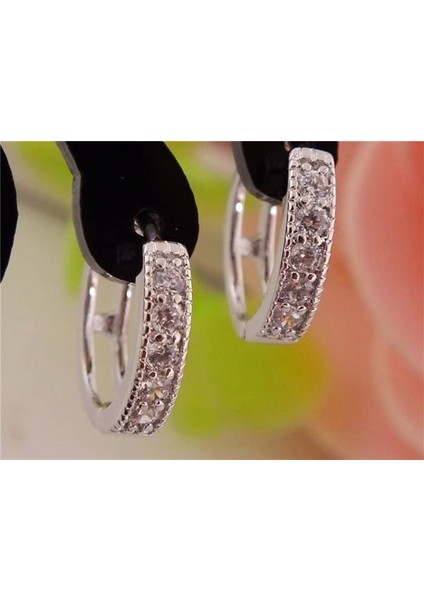 Gümüş Tarzı 1 Çift 14 Ayar Altın Dolgulu Kübik Zirkonya Klasik Halka Küpe (Yurt Dışından)