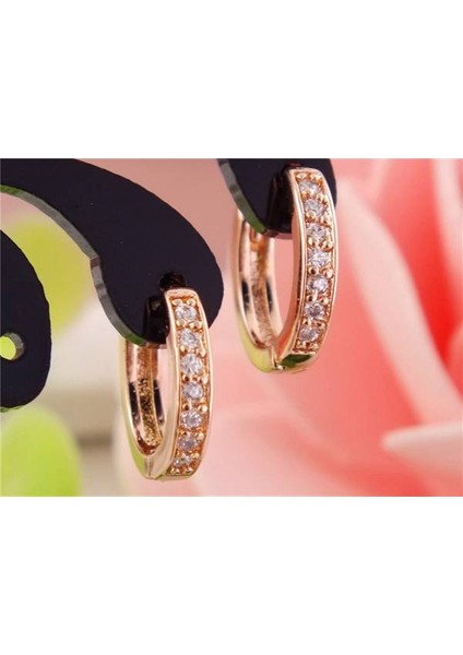 Gümüş Tarzı 1 Çift 14 Ayar Altın Dolgulu Kübik Zirkonya Klasik Halka Küpe (Yurt Dışından) fiyatları