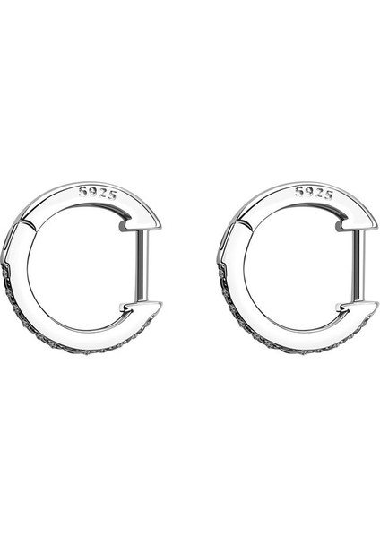 Gümüş Tarzı 1 Çift Gümüş Kübik Zirkonya Kollu Küpe Huggie Stud (Yurt Dışından)