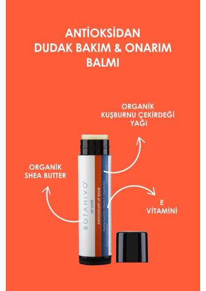 Full Stick Set | Çok Amaçlı Tamanu, Kaş, Dudak, Tırnak | 4x5 ml Stick