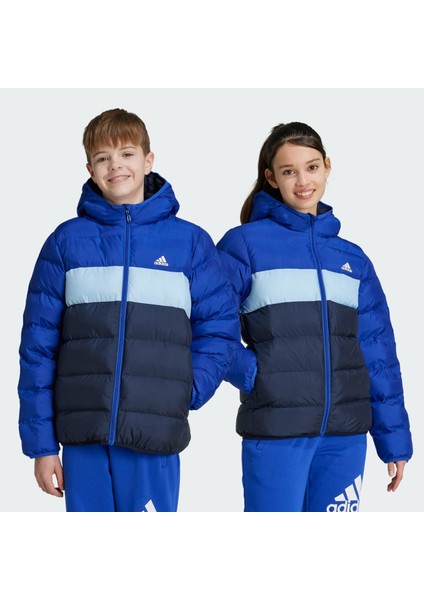 Adidas Sportswear IY6915 Synthetic Down Jacket