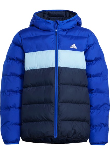 Adidas Sportswear IY6915 Synthetic Down Jacket