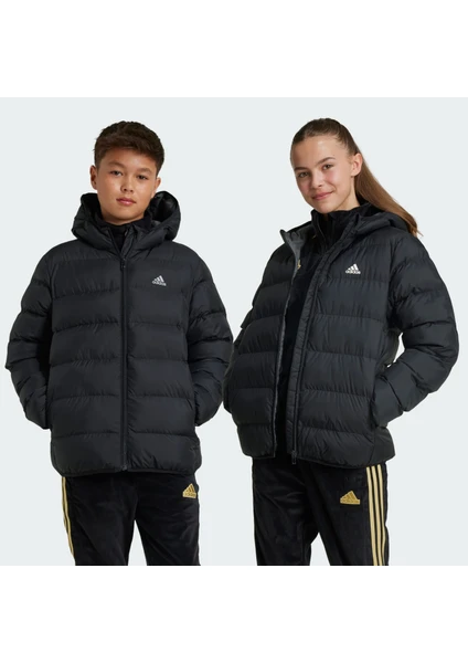 Adidas Sportswear IV9505 Synthetic Down Jacket