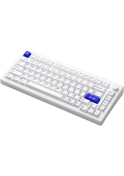 MOD 007B PC Blue on White RGB Kablosuz Hotswap Mekanik Gaming Klavye