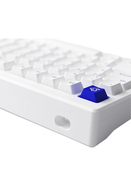 MOD 007B PC Blue on White RGB Kablosuz Hotswap Mekanik Gaming Klavye