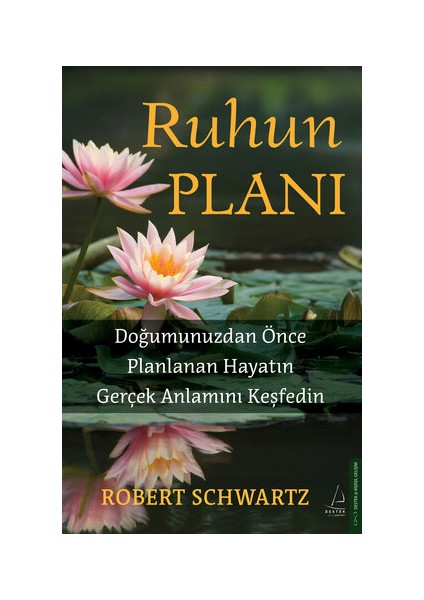 Ruhun Planı - Robert Schwartz