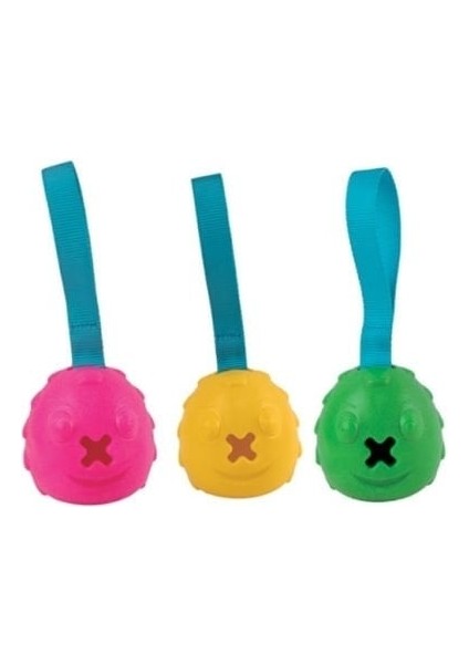 Ipli Ödül Hazneli Plastik Köpek Çiğneme Oyuncağı 23 cm Renkli