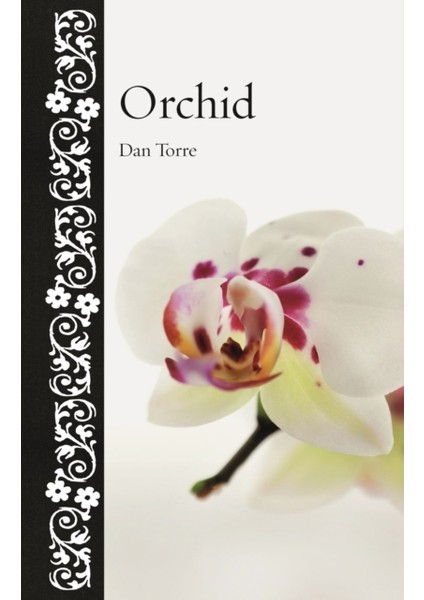Orchid - Dan Torre