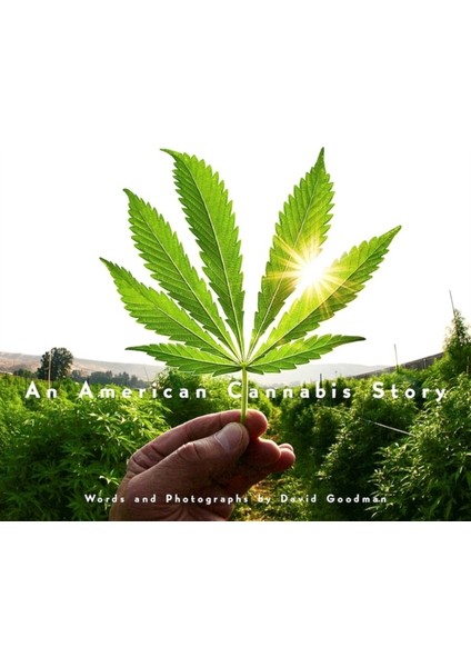 American Cannabis Story - David Goodman