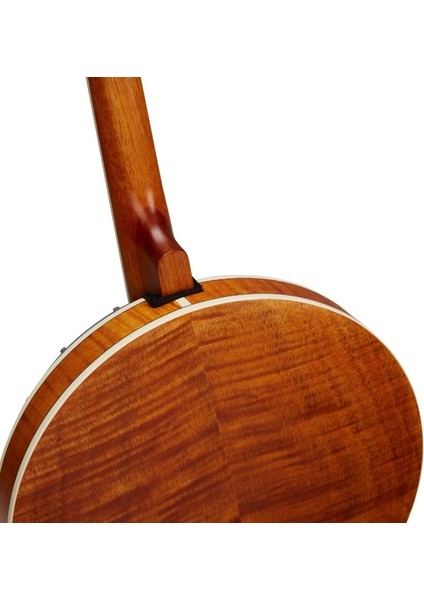 BJ404 Tenor Banjo