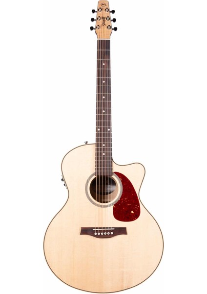 Performer Cw Mini Jumbo Hg Presys II Elektro Akustik Gitar