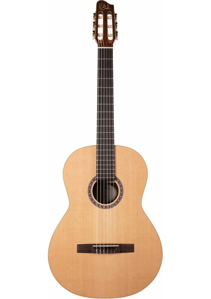 Presentation Clasica Iı Elektro Klasik Gitar