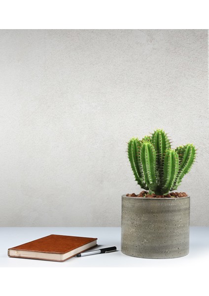 Beton Görünümlü Minimalist Dekoratif Saksı - Doğal ve Modern Tasarım