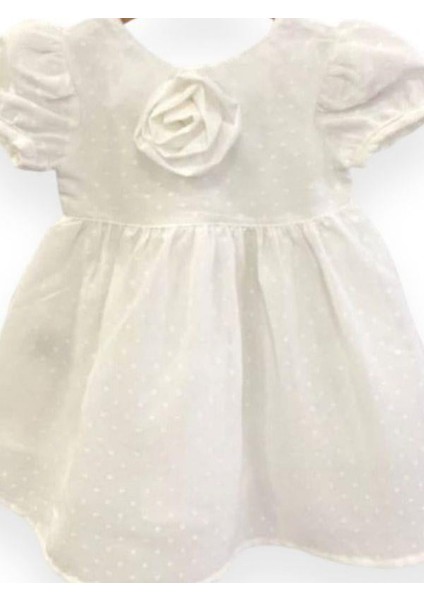 Kız Bebek Gül Detaylı Şık Elbise