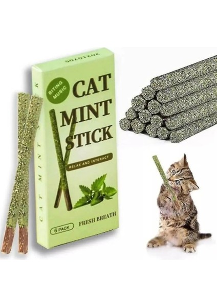 Tineke 6 Adet Doğal Meyve Aromalı Matatabi Çubuğu Catnip Stick Kedi Catnip Dalı Cat Mint Stick