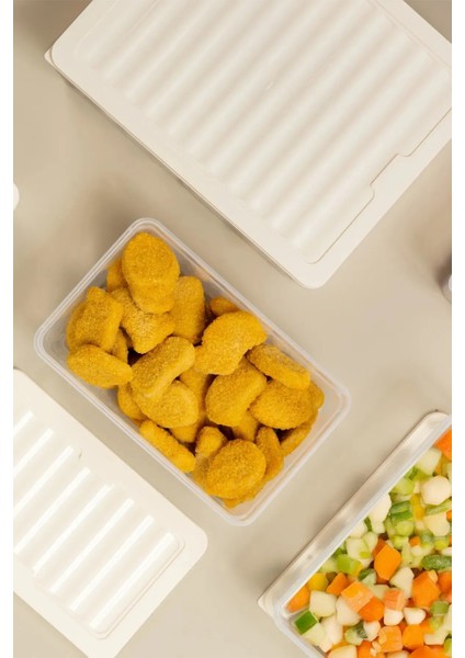 4 Parça Set Freshbox Mikrodalga ve Difrize Uygun Saklama Kabı
