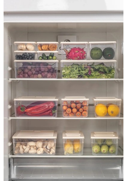 4 Parça Set Freshbox Mikrodalga ve Difrize Uygun Saklama Kabı