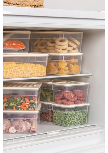 4 Parça Set Freshbox Mikrodalga ve Difrize Uygun Saklama Kabı