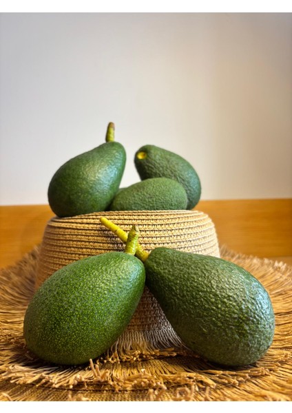 1 kg Avokado Taze Hasat
