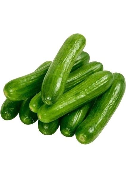 Salatalık Tohumu 5 gr Tohum Aksaray Tohumculuk