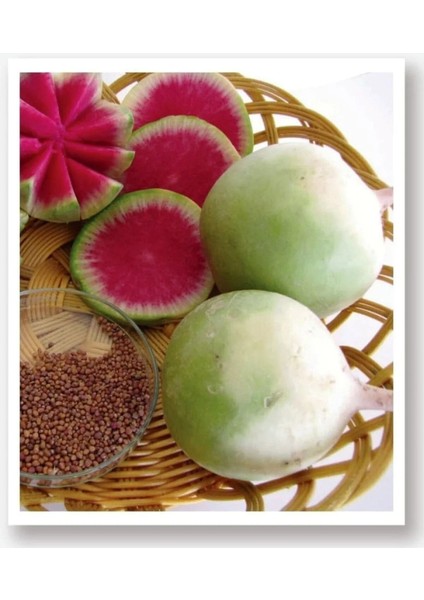 Çin Turp Tohumu 50 gr Tohum Aksaray Tohumculuk