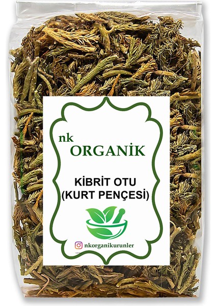 Kibrit Otu (Kurt Pençesi) 500 gr