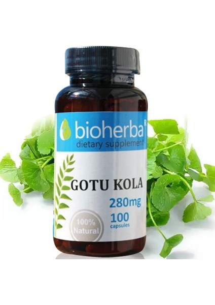 Gotu Kola 280 Mg 100 Capsules
