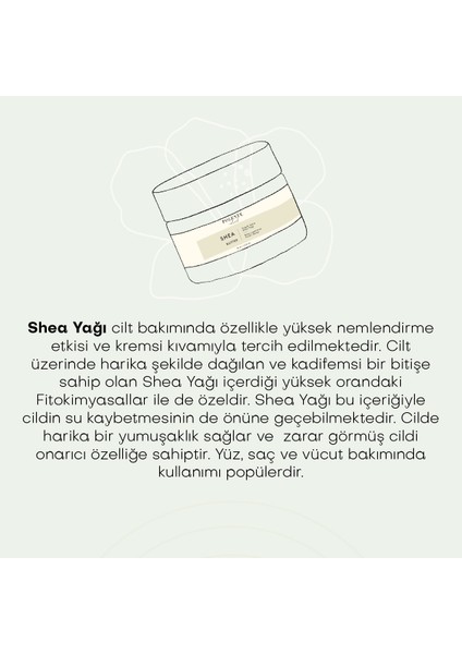 Shea Butter - Soğuk Sıkım (50 ml)