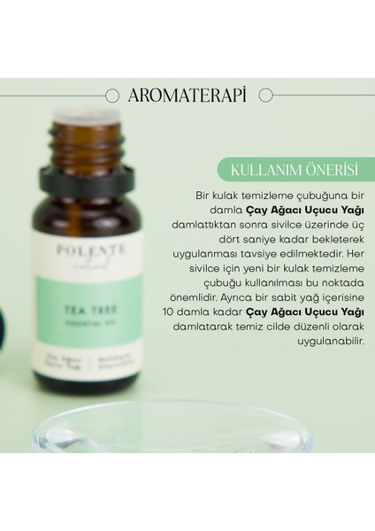 Çay Ağaçı Uçucu Yağı - Organik (10 ml)