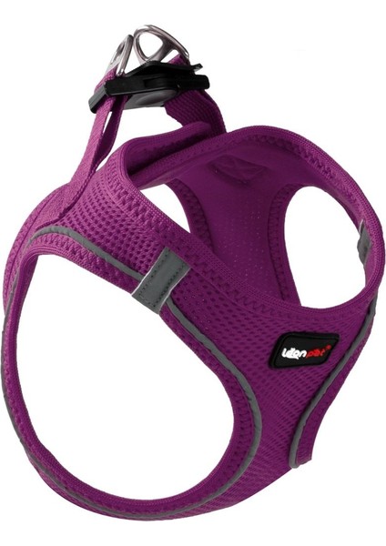 Air Mesh Köpek Göğüs Tasması Mor Xlarge